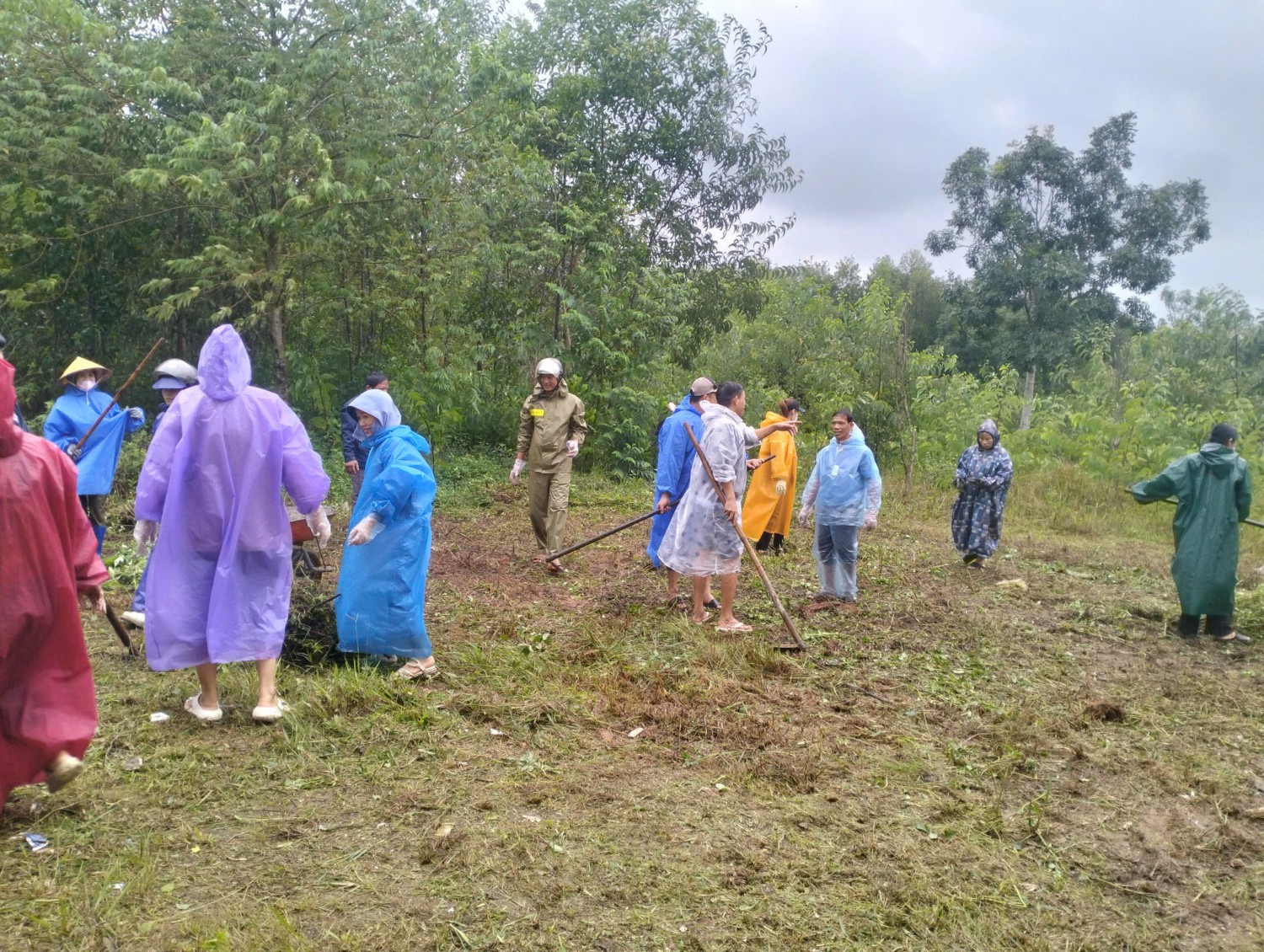 TỔ CHỨC LAO ĐỘNG CẢI TẠO CẢNH QUAN TRƯỜNG HỌC